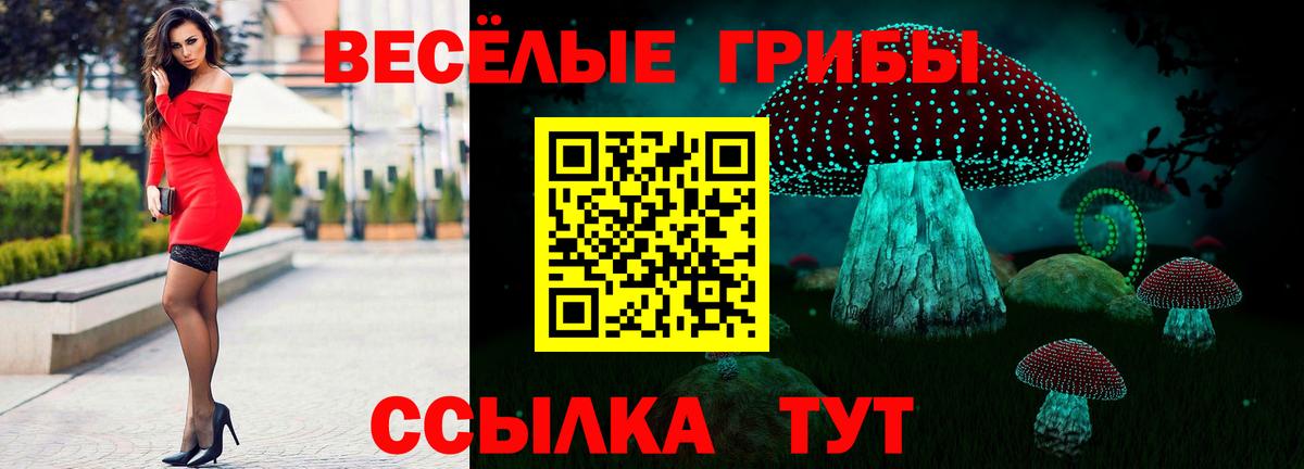 Галлюциногенные грибы мухоморы Домодедово